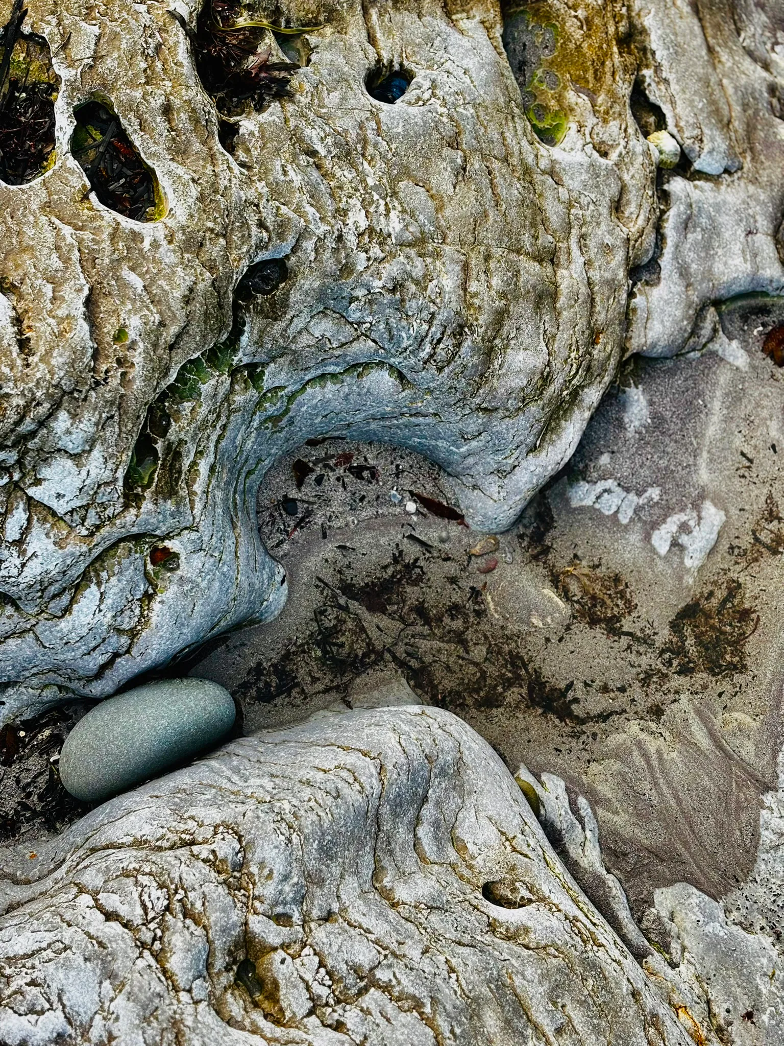Water and mineral patterns in Kerry coastal stone