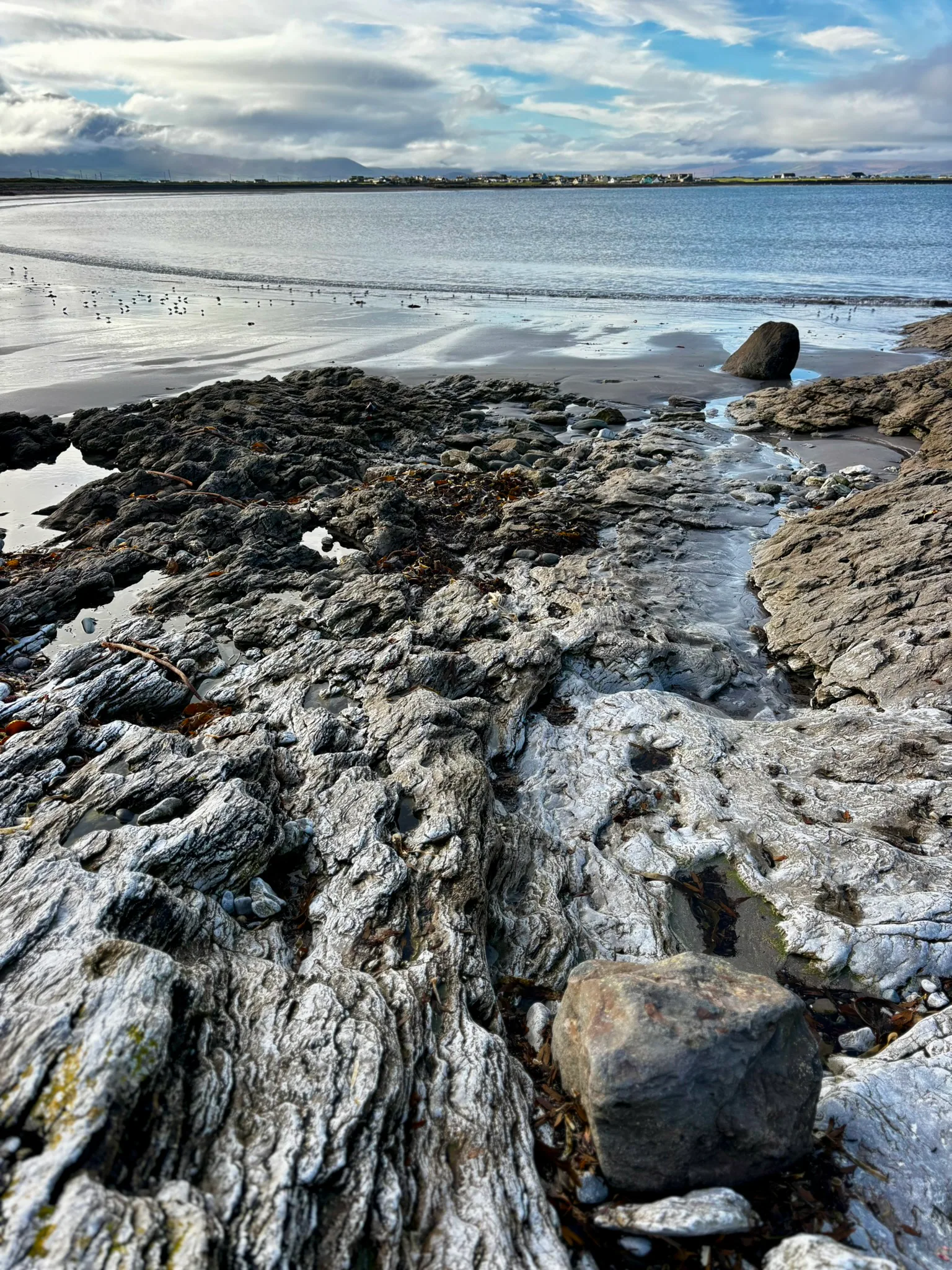 Stone and tidal textures on the Kerry shoreline